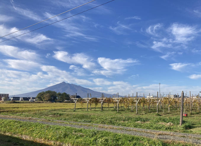 ご支援いただきありがとうございました！